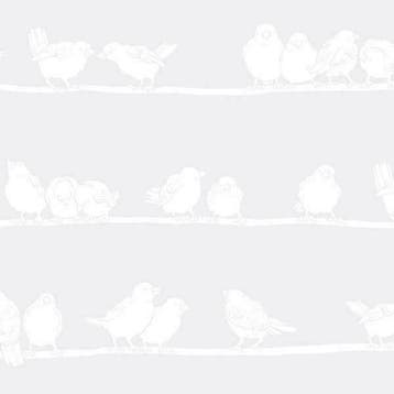 Anti inkijk folie, glasfolie met vogels, statische raamfolie, Nieuw