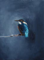 Matthieu van Riel - Kingfisher. Night, Antiek en Kunst