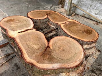 20X Boomstamschijf, eik, complete partij 460,- REF 785, 25 tot 50 mm, Verzenden, Eiken, Overige typen