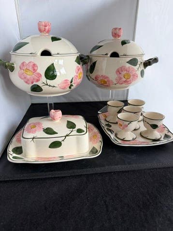 Villeroy & Boch - Eetservies (12) - Wild-Rose - Porselein -