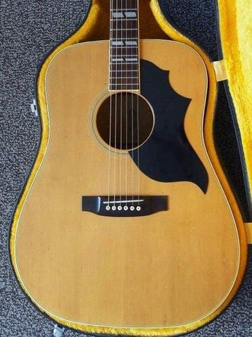 Mountain - W-350 - - Akoestische gitaar - Japan, Nieuw