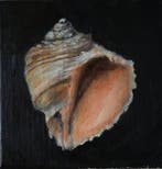 Beata Izabella Wolak (XXI) - The shell, Antiek en Kunst