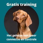 Gratis training 7 inzichten over hondengedrag, Training of Cursus