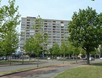 Te Huur 2 Kamer Appartement Sweelinckplein In Den Bosch, Den Bosch, Noord-Brabant, Direct bij eigenaar, Appartement