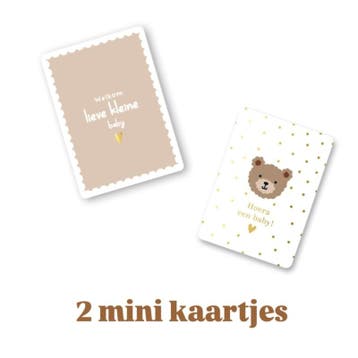 2x mini Baby kaartje - little bears - baby - geboorte - c..., Ophalen of Verzenden, Nieuw