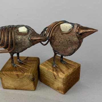 Jacek Drzymaa ( XX- XXI) - NO RESERVE- 2 BIRDS