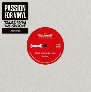 Passion For Vinyl | Robert Haagsma | Nieuw, Ophalen of Verzenden, Nieuw, Robert Haagsma