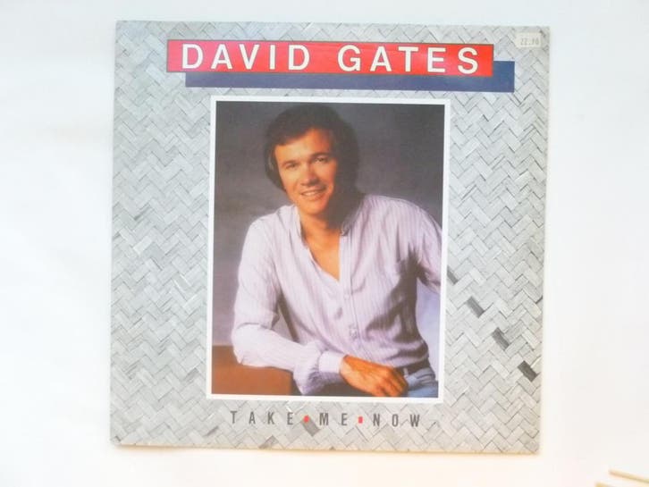 David Gates - Take me now (LP), Cd's en Dvd's, Vinyl | Pop, Zo goed als nieuw, Verzenden