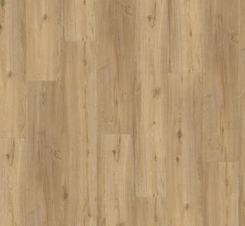 Klik pvc rechte plank  |  Parador Basic 5.3 Eiken Natuur, Ophalen, Nieuw