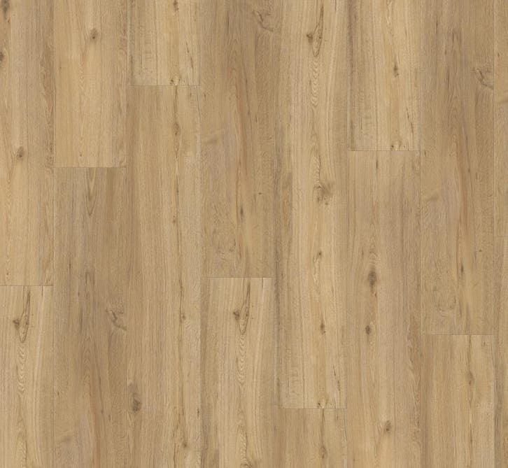 Klik pvc rechte plank  |  Parador Basic 5.3 Eiken Natuur, Huis en Inrichting, Stoffering | Vloerbedekking, Ophalen
