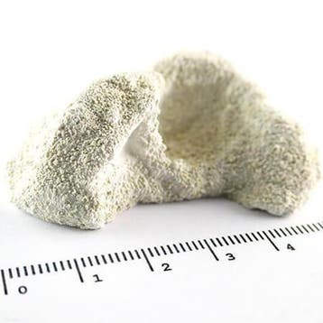 Achilles Aragonite Frag Rocks 10 stuks, Ophalen of Verzenden, Nieuw