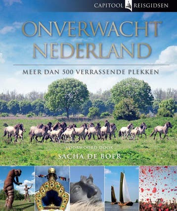 Capitool reisgidsen : Onverwacht Nederland (Goed), Boeken, Verzenden, Nieuw
