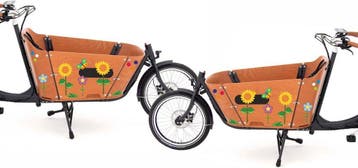 Bakfiets Stickers Zonne-bloemen (1173.bf.02), Verzenden, Nieuw, Overige typen