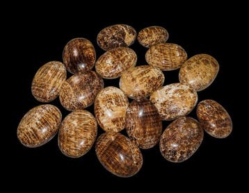 1 kg bulkpartij van natuurlijke bruine aragoniet-palmstenen