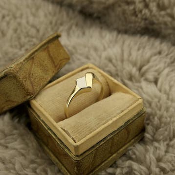 Bicolor gouden ring, Gebruikt, Ophalen of Verzenden, 17 tot 18, Dame