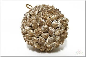Pennchiman Schelpen Naturel 1 kilo, Ophalen of Verzenden, Nieuw