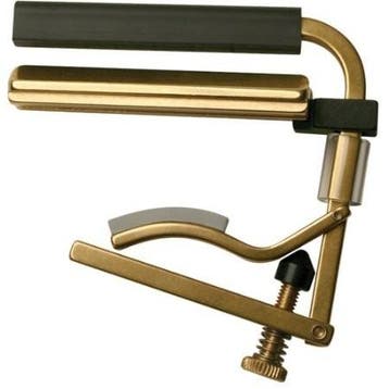 Shubb C6B Dobro capo, Verzenden, Nieuw