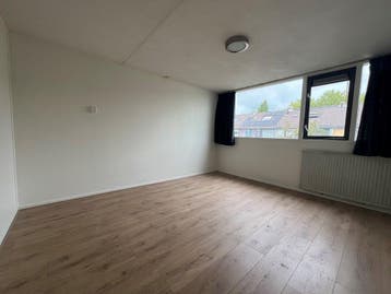 Kamer in Groningen