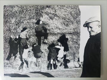 Giacomelli Mario - La Buona Terra