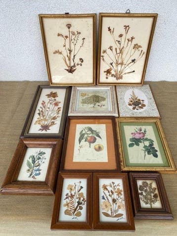 Collectie merkartikelen - 10x houten sierlijsten met vintage