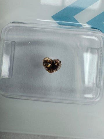 Zonder minimumprijs - 1 pcs Diamant (Natuurlijk gekleurd) -, Nieuw