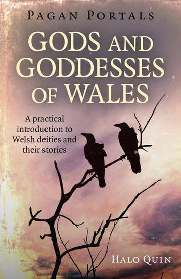 9781785356216 Pagan Portals - Gods and Goddesses of Wales..., Verzenden, Nieuw, Halo Quin