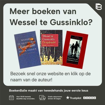 Het engeltje - Wessel te Gussinklo 9789492313379, Verzenden, Gelezen, Wessel te Gussinklo