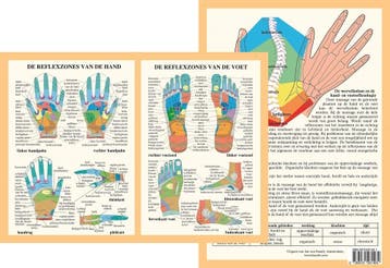 Anatomie poster hand- en voetreflexologie (Nederlands, g..., Nieuw