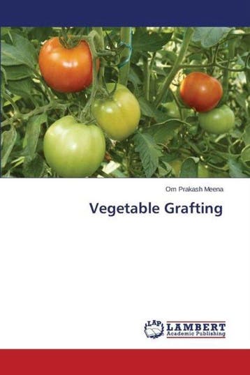 9783659757426 Vegetable Grafting Meena Om Prakash, Verzenden, Nieuw, Meena Om Prakash