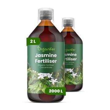 Jasmijn vloeibare meststof - Set 2x1 liter, Verzenden, Mest