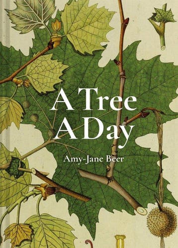 9781849946520 A Day-A Tree A Day Amy-Jane Beer, Verzenden, Nieuw, Amy-Jane Beer