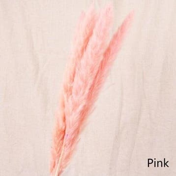 Dried Pampas Fluffy Pink Soft Roze 70 cm, Ophalen of Verzenden, Nieuw