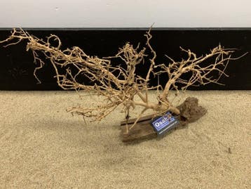 Osaka Bonsai Tree nr 1 - 59x20x34cm - aquascaping boom, Ophalen of Verzenden, Nieuw, Plant(en), Steen of Hout