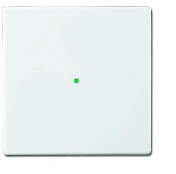 ABB Busch-Jaeger Busch-FreeAtHome Bedieningselement/Centrale, Verzenden, Nieuw, Overige typen