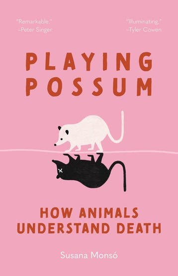 9780691260778 Playing Possum Susana Monso, Boeken, Verzenden, Nieuw, Susana Monso
