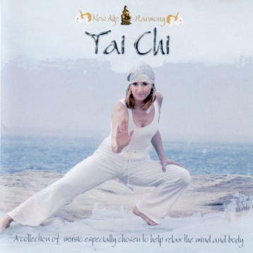 cd - Pierre Vangelis - Tai Chi, Verzenden, Zo goed als nieuw