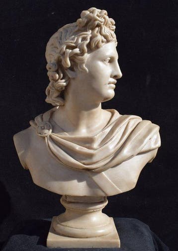 sculptuur, Busto Apollo del Belvedere - 46 cm -