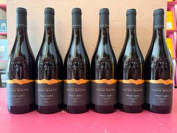 2025 Elena Walch Pinot Nero - Alto Adige - 6 Fles (0,75, Nieuw