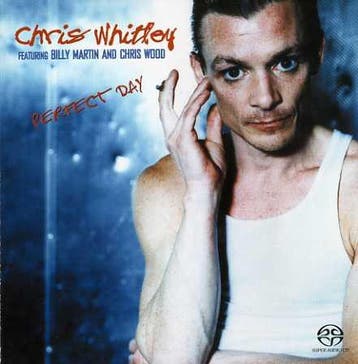 cd - Chris Whitley Featuring Billy Martin - Perfect Day, Verzenden, Zo goed als nieuw