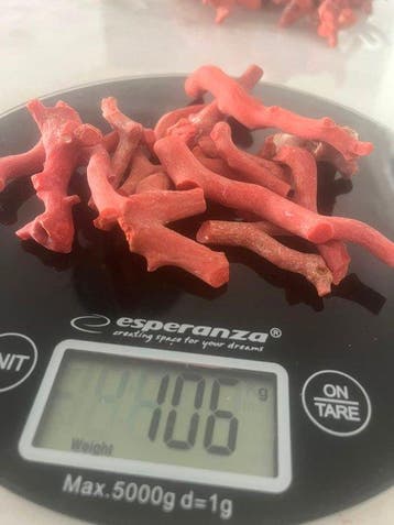Koraal Koraal - Coralum rubrum, Antiek en Kunst, Curiosa en Brocante