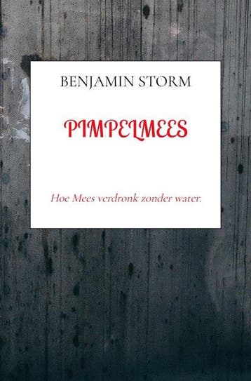 9789403814858 Pimpelmees Benjamin Storm, Verzenden, Nieuw, Benjamin Storm