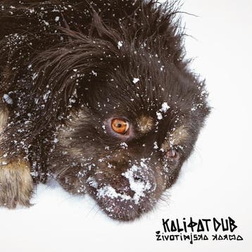 cd - kali fat dub - ZIVOTINJSKA KARMA (nieuw), Verzenden, Zo goed als nieuw