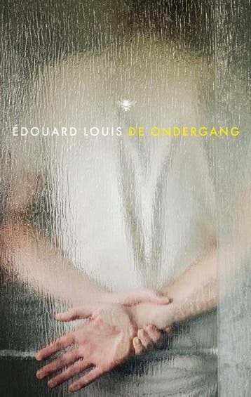 De Ondergang | Édouard Louis | Nieuw, Ophalen of Verzenden, Nieuw, Édouard Louis