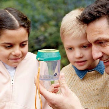 Hape insectenpot kleine ontdekker - van €6,99 voor €6,29, Ophalen of Verzenden, Nieuw