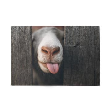 Deurmat Nieuwsgierig schaap 75x50cm, Verzenden, Nieuw
