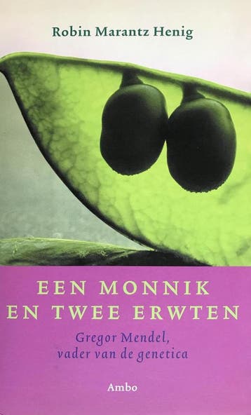 MONNIK EN TWEE ERWTEN - R. Marantz Henig 9789026316784, Verzenden, Gelezen, R. Marantz Henig