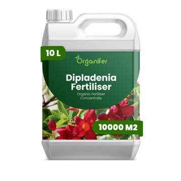 Dipladenia Vloeibare meststof - 10 liter, Verzenden, Mest