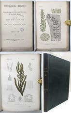 George Murray - Phycological Memoirs being Researches made