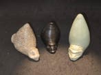 Taíno-cultuur op de Kleine en Grote Antillen steen Collectie