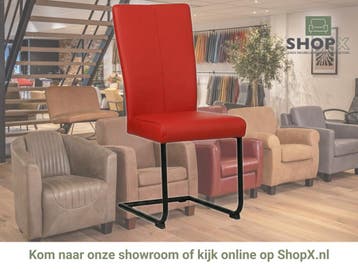 Leren eetkamerstoel Dry - Toledo Ducati (rood) - Sledepoot, Nieuw, Leer, Ophalen of Verzenden, Rood